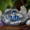 “LITZ and Chips” V.3 Pin – Carolina BBQ